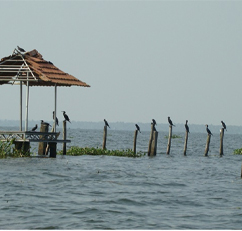 Kumarakom Bird Sanctuary