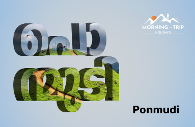 Ponmudi Misty Hills Escape